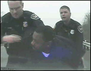 Bilder-Thread uh43048,1259341140,Eating evidence