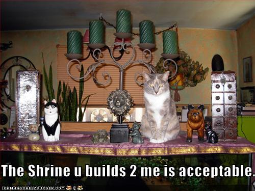 Bilder-Thread uh43048,1259698504,funny-pictures-cat-appreciates-shrine
