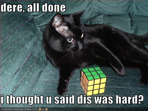 Bilder-Thread uh43048,1259698547,funny-pictures-cat-finished-rubiks-cube