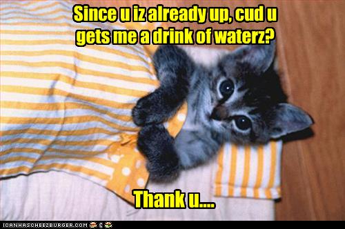 Bilder-Thread uh43048,1259698649,funny-pictures-kitten-asks-for-water