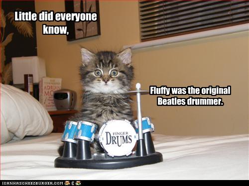 Bilder-Thread uh43048,1259698669,funny-pictures-kitten-has-drum-set