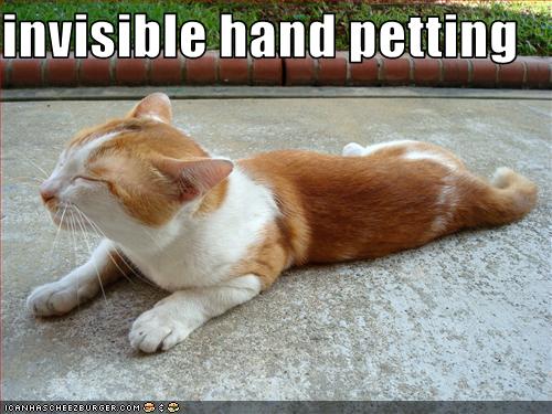 Bilder-Thread uh43048,1259698685,funny-pictures-cat-receives-invisible-pettings