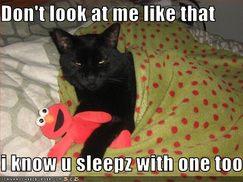 Bilder-Thread uh43048,1259861039,funny-pictures-cat-sleeps-with-stuffed-toy