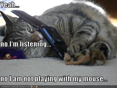 Bilder-Thread uh43048,1259861074,funny-pictures-cat-plays-while-on-phone
