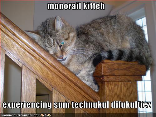 Bilder-Thread uh43048,1259861094,funny-pictures-monorail-cat-experiences-difficulties