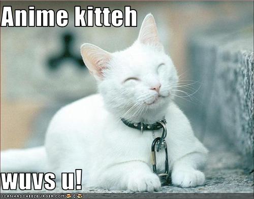 Bilder-Thread uh43048,1260127600,funny-pictures-anime-cat-loves-you