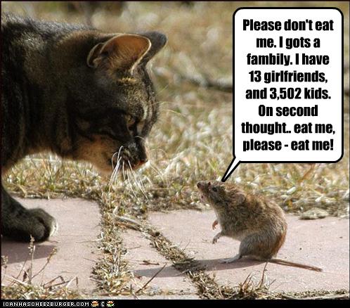 Bilder-Thread uh43048,1260127619,funny-pictures-rat-asks-to-be-eaten