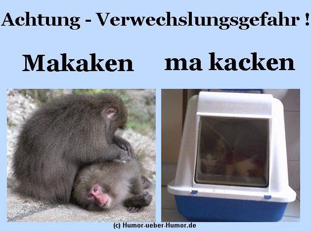 Bilder-Thread uh43048,1260127646,makaken