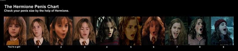 Bilder-Thread uh43048,1260195393,hermione penis chart0