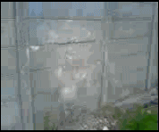Bilder-Thread uh43048,1260195769,652d7327e6965e6d455c0235e817cdcd