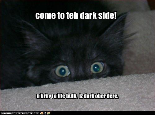 Bilder-Thread uh43048,1260381824,funny-pictures-kitten-comes-to-dark-side