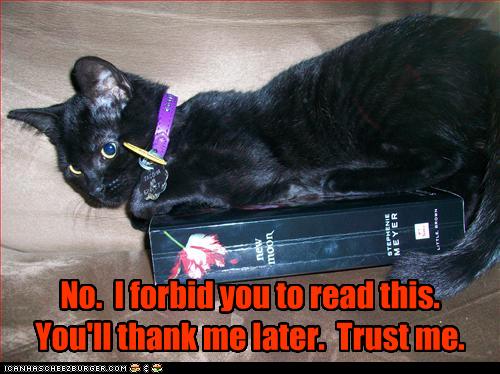 Bilder-Thread uh43048,1260381935,funny-pictures-cat-does-not-want-you-to-read-book