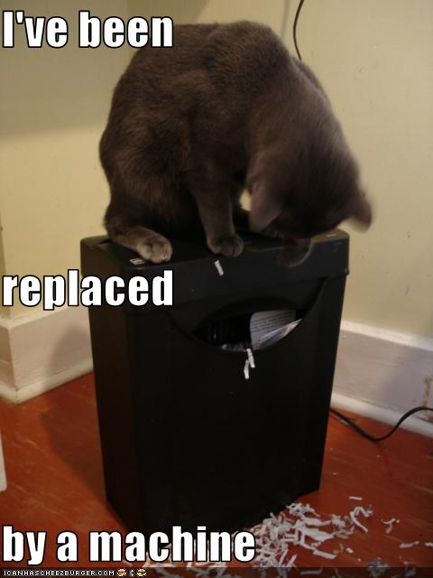 Bilder-Thread uh43048,1261137630,funny-pictures-cat-is-replaced-by-shredder