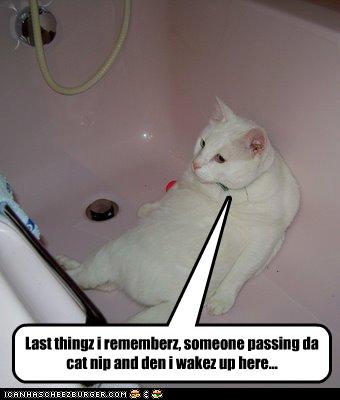 Bilder-Thread uh43048,1261137647,funny-pictures-cat-wakes-up-in-bathtub