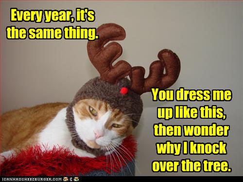 Bilder-Thread uh43048,1261137716,funny-pictures-cat-is-dressed-as-reindeer