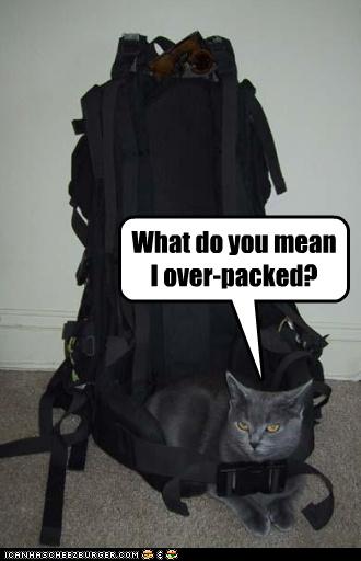 Bilder-Thread uh43048,1261137727,funny-pictures-cat-has-overpacked