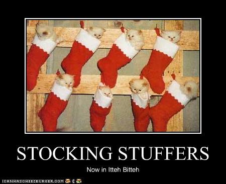 Bilder-Thread uh43048,1261137796,funny-pictures-kittens-are-stocking-stuffers