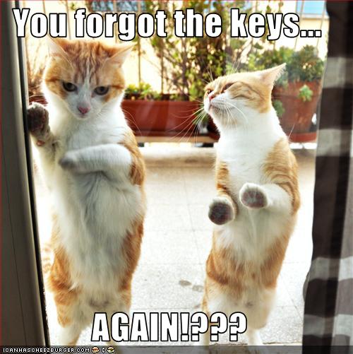 Bilder-Thread uh43048,1261137919,funny-pictures-cat-forgot-his-keys