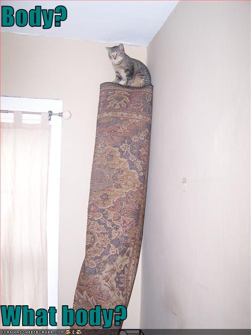 Bilder-Thread uh43048,1261137933,funny-pictures-cat-is-hiding-a-body