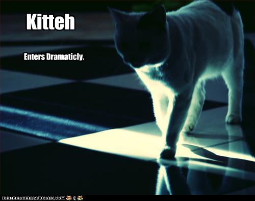 Bilder-Thread uh43048,1261137962,funny-pictures-cat-enters-dramatically