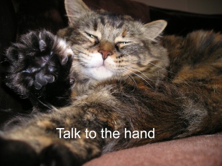 Bilder-Thread uh43048,1261141805,lolcatsdotcom2ro4xmes3k4x6e3i