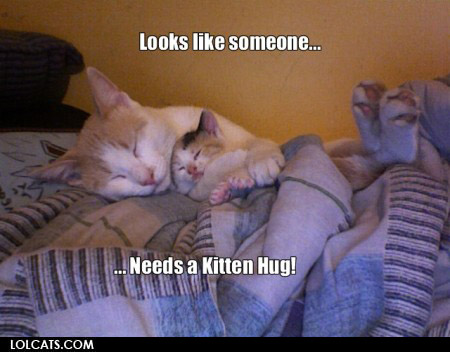 Bilder-Thread uh43048,1261141839,lolcatsdotcom0t7z1jwz7rj9krx2