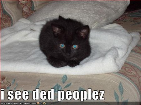 Bilder-Thread uh43048,1261142012,lolcatsdotcomf8gg0b0qu4on6xko