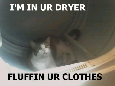 Bilder-Thread uh43048,1261142031,lolcatsdotcom4xsehtcvnewkbhhg