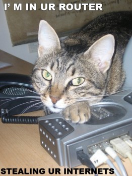 Bilder-Thread uh43048,1261142087,lolcatsdotcomjwc6vo27ba1jrtqd