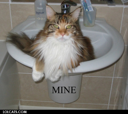 Bilder-Thread uh43048,1261142220,lolcatsdotcomejvef5cs5yrp7ncp