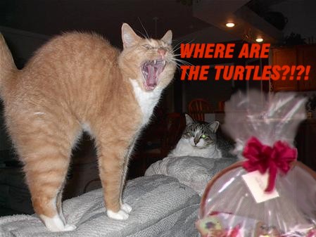 Bilder-Thread uh43048,1261142266,lolcatsdotcomca2ub5mpswrpy5n9