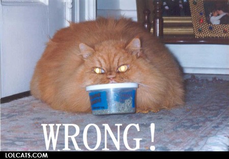 Bilder-Thread uh43048,1261142285,lolcatsdotcomjt3uhaz1xn49ik4g