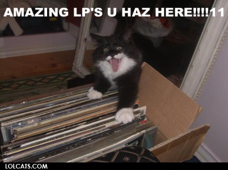 Bilder-Thread uh43048,1261142347,lolcatsdotcomi394k11yzcqrluv4