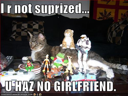 Bilder-Thread uh43048,1261142508,funny-picture-lolcats-u-haz-no-girlfriend