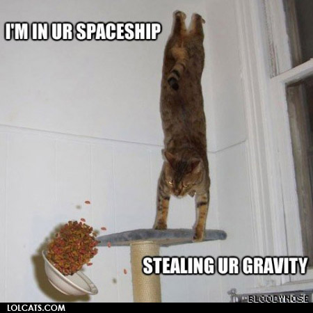 Bilder-Thread uh43048,1261142643,lolcatsdotcomw594eozv941c48o4