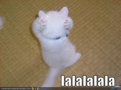 Bilder-Thread uh43048,1261142712,lolcats-funny-picture-lalalalala