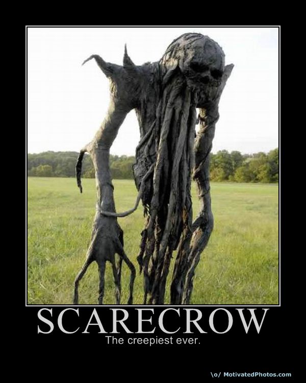 Bilder-Thread uh43048,1261225662,633938522141218240-scarecrow