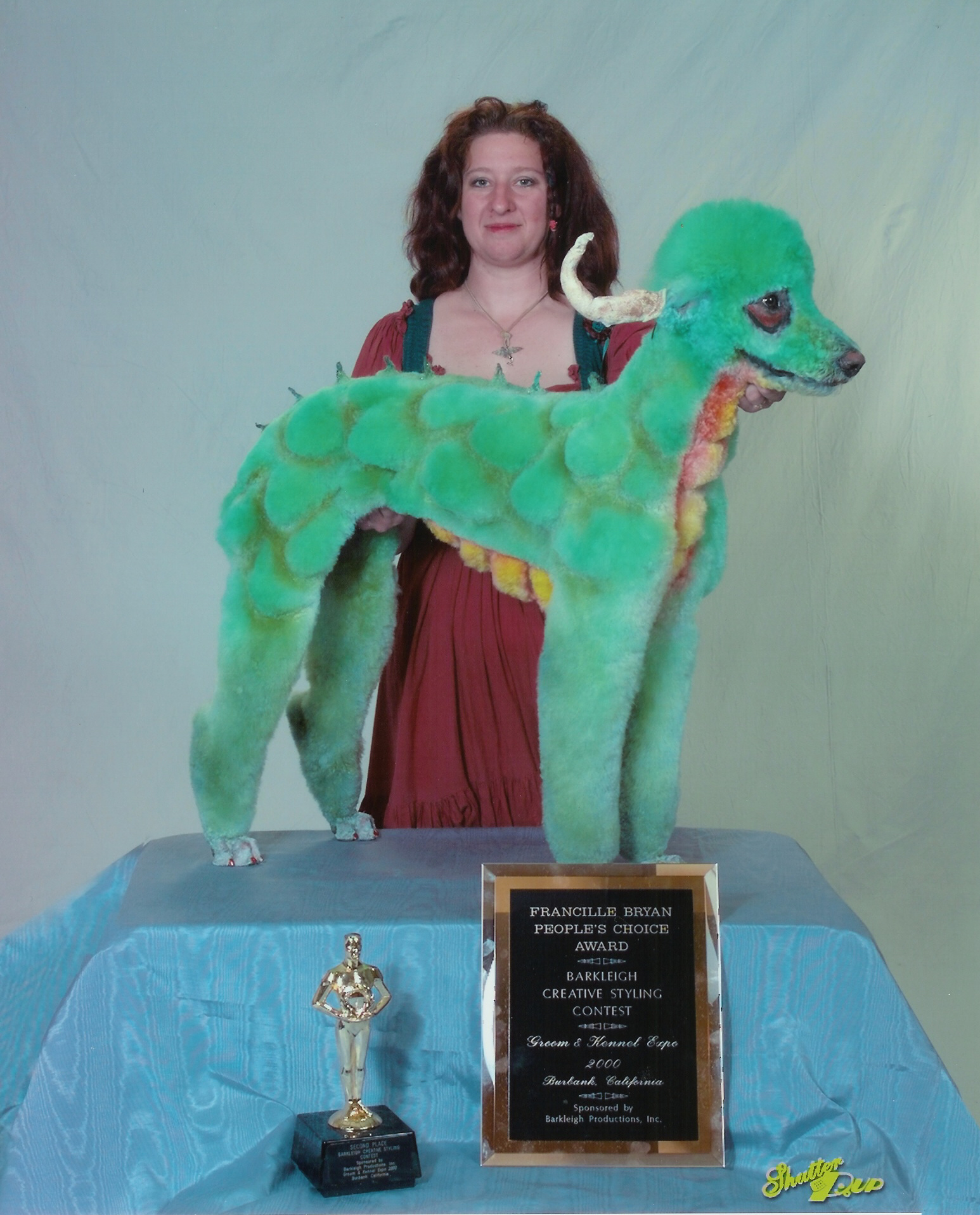 Bilder-Thread uh43048,1261308627,dragon2