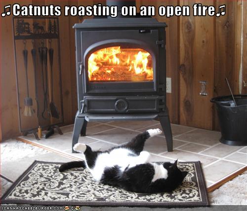 Bilder-Thread uh43048,1261582361,funny-pictures-cat-roasts-by-fire
