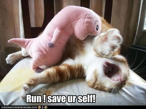 Bilder-Thread uh43048,1261582379,funny-pictures-cat-is-being-eaten-by-dinosaur