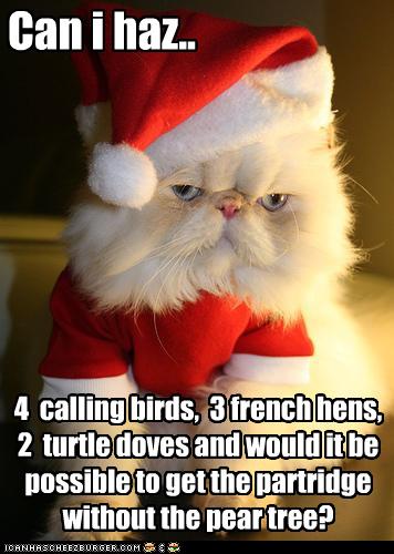 Bilder-Thread uh43048,1261582406,funny-pictures-cat-asks-for-birds