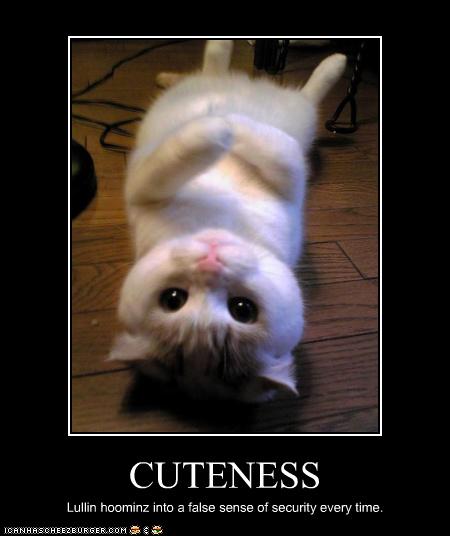 Bilder-Thread uh43048,1261932500,funny-pictures-cat-is-very-cute