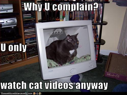 Bilder-Thread uh43048,1261932520,funny-pictures-cat-sits-in-computer