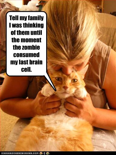 Bilder-Thread uh43048,1261932543,funny-pictures-cat-is-being-eaten-by-zombie