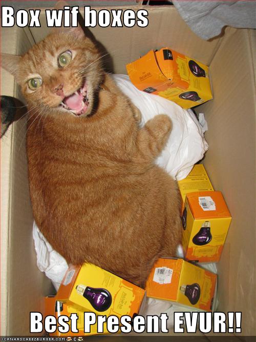 Bilder-Thread uh43048,1261932593,funny-pictures-cat-likes-boxes