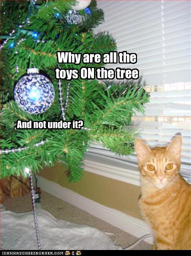 Bilder-Thread uh43048,1261932615,funny-pictures-cat-does-not-understand-tree