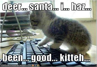 Bilder-Thread uh43048,1261932669,funny-pictures-kitten-has-been-good
