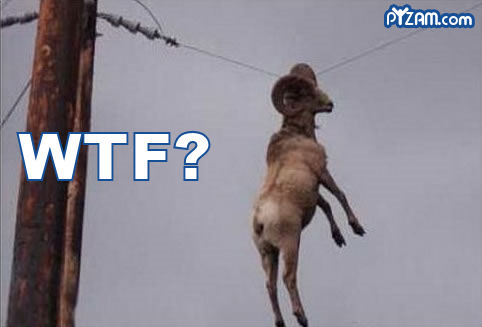 Bilder-Thread uh43048,1262031753,wtfram