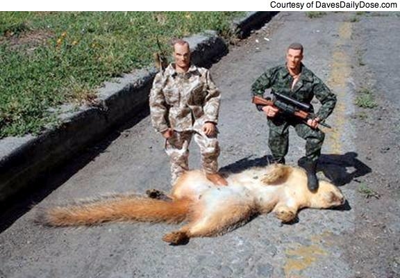Bilder-Thread uh43048,1262032176,draft lens6195392module49138092photo 1248970759GI Joe-squirrel-funny-toys-image