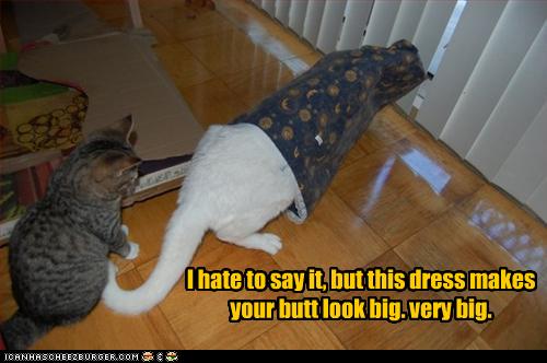 Bilder-Thread uh43048,1262380853,funny-pictures-cat-is-in-bad-dress